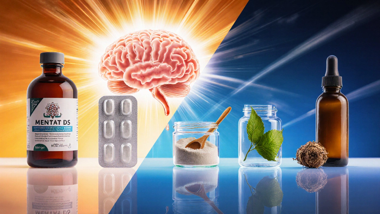 Split view of six supplement forms beside stylized brain graphics.